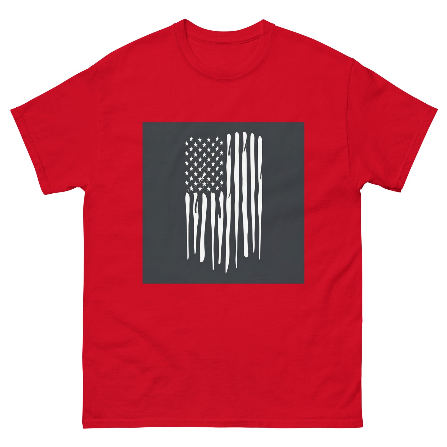 B&W AI US Flag classic tee